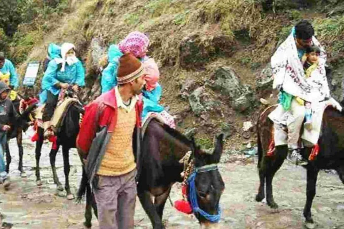 यात्रा मार्ग पर सेवा देंगे 43 सौ से अधिक घोड़ा- खच्चर संचालक