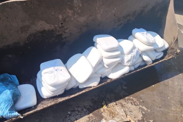 त्योहारी सीजन में मिलावटखोरों पर शिकंजा, 180 किलो पनीर नष्ट