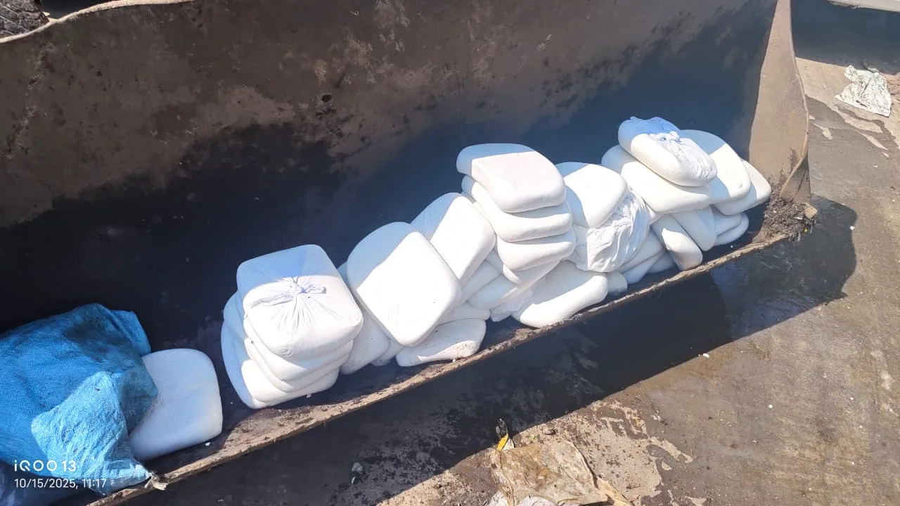 त्योहारी सीजन में मिलावटखोरों पर शिकंजा, 180 किलो पनीर नष्ट