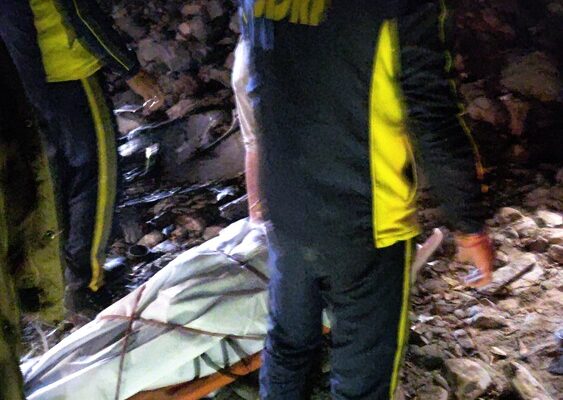 बारात की कार खाई में गिरी, तीन लोगों की मौत, एक घायल