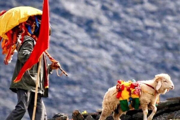 इस साल नहीं होगी श्री नंदा देवी राजजात