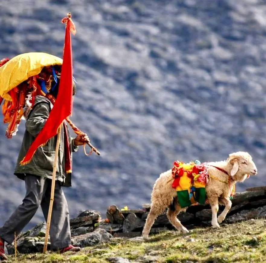 इस साल नहीं होगी श्री नंदा देवी राजजात