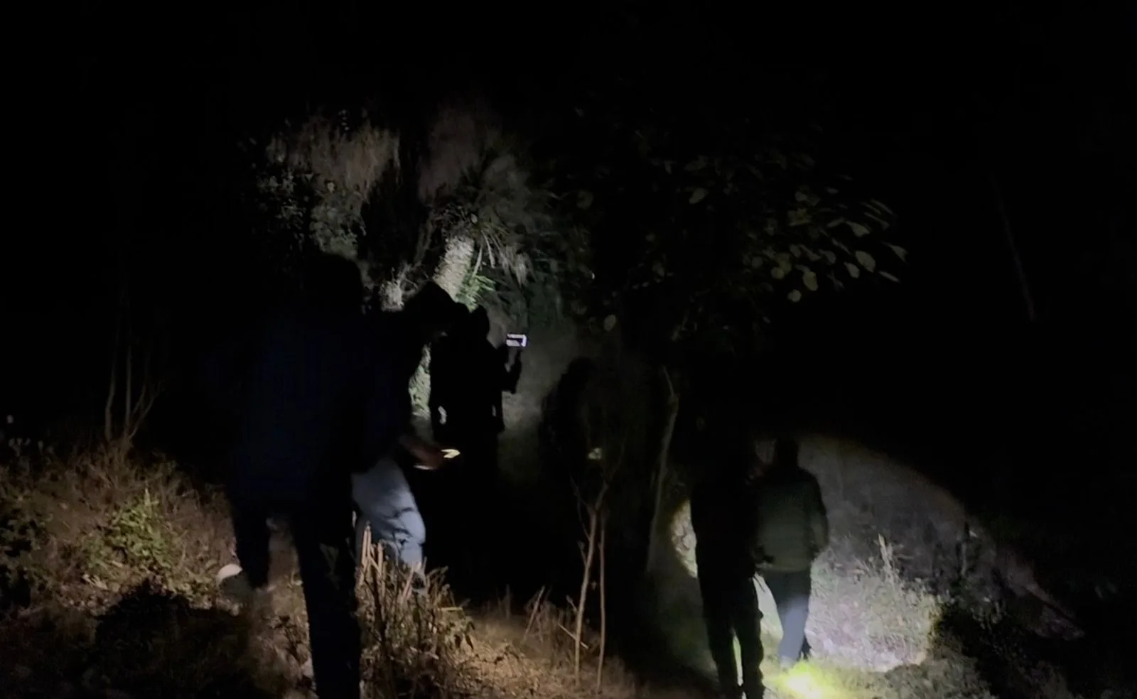 रुद्रप्रयाग में बच्चे को उठा ले गया गुलदार