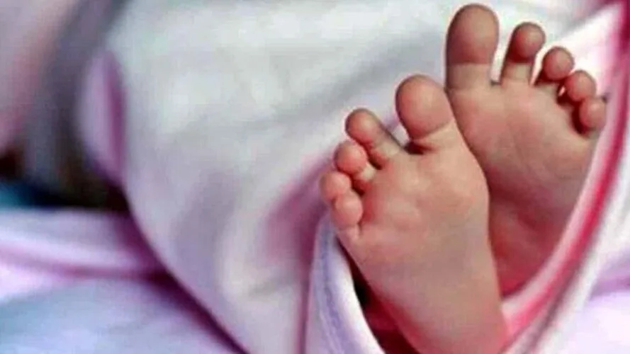 शिमला बाईपास चौक पर महिला को ट्रक ने कुचला, मौत