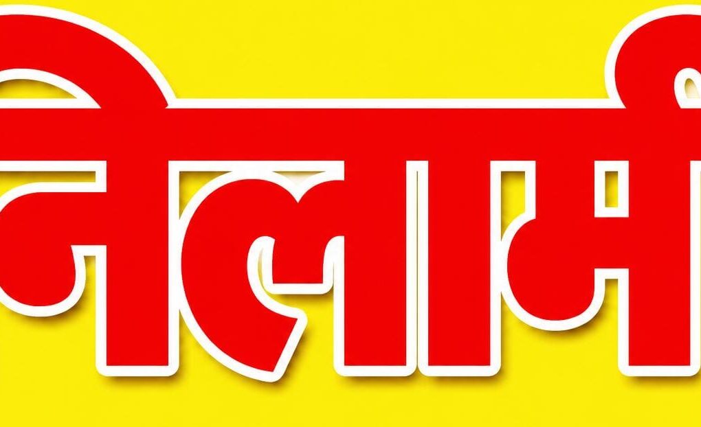 29 हरे पुराने वृक्षों की सार्वजनिक नीलामी 14 अक्टूबर को, भगवानपुर तहसील के ग्राम जलालपुर डाडा में होगी नीलामी, न्यूनतम बोली 2.75 लाख रुपये निर्धारित