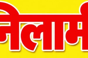 29 हरे पुराने वृक्षों की सार्वजनिक नीलामी 14 अक्टूबर को, भगवानपुर तहसील के ग्राम जलालपुर डाडा में होगी नीलामी, न्यूनतम बोली 2.75 लाख रुपये निर्धारित