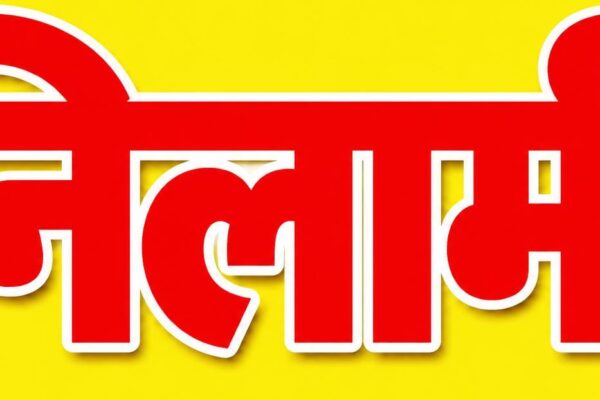 29 हरे पुराने वृक्षों की सार्वजनिक नीलामी 14 अक्टूबर को, भगवानपुर तहसील के ग्राम जलालपुर डाडा में होगी नीलामी, न्यूनतम बोली 2.75 लाख रुपये निर्धारित