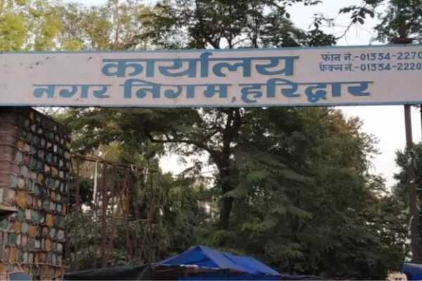 स्ट्रीट पोलों पर लगे अनियोजित वायर/केबल सात दिन में हटाएं: नगर निगम