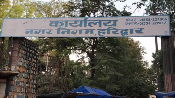 स्ट्रीट पोलों पर लगे अनियोजित वायर/केबल सात दिन में हटाएं: नगर निगम